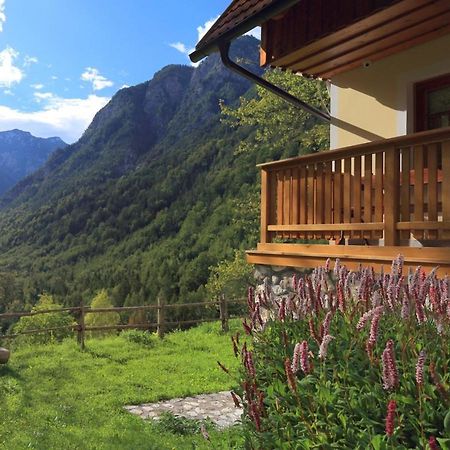 Zadnjica Holiday House Soca Luaran gambar